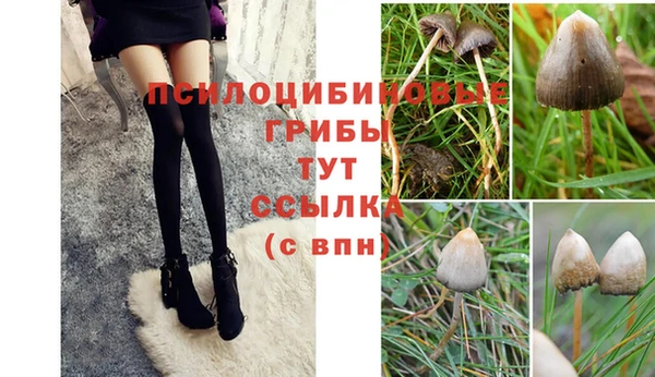 соль ск Ростов