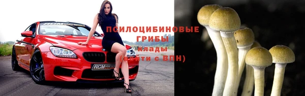apvp Россошь